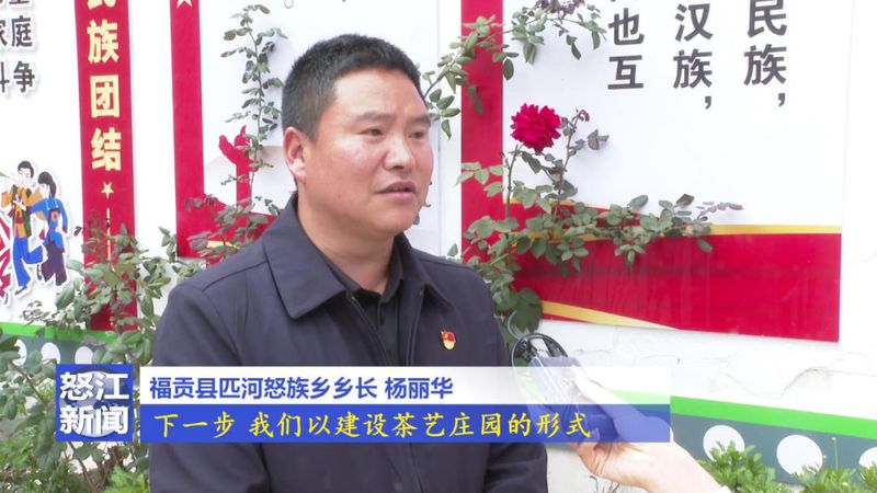 关于老姆登：春茶飘香采摘忙 茶农迎来增收季的相关信息(8)