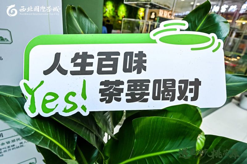 有关于2023第七届新城国际茶文化旅游节暨茶文化博物馆项目启动——遇见城市桃花源的相关内容(14)