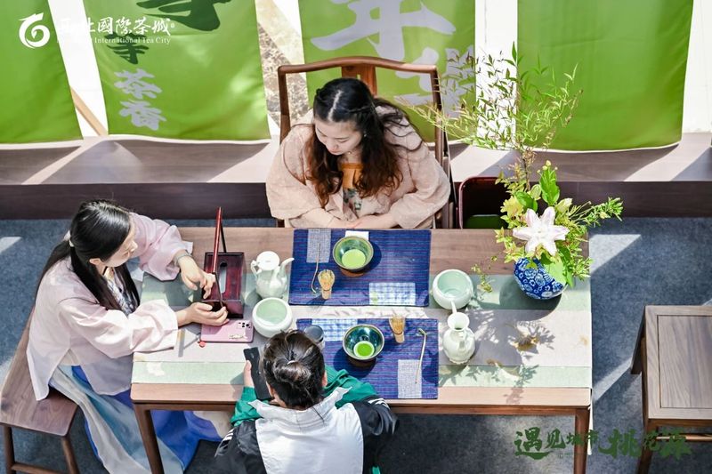 有关于2023第七届新城国际茶文化旅游节暨茶文化博物馆项目启动——遇见城市桃花源的相关内容(10)