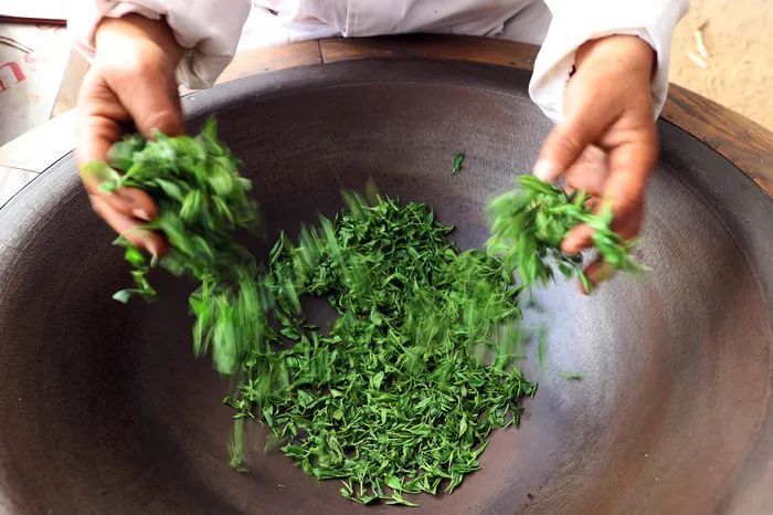 有关于柳埠  不负好春光 春茶采制正当时的消息(2)