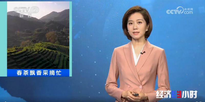 有关于央视聚焦潮州茶产业引发茶界共鸣的新闻