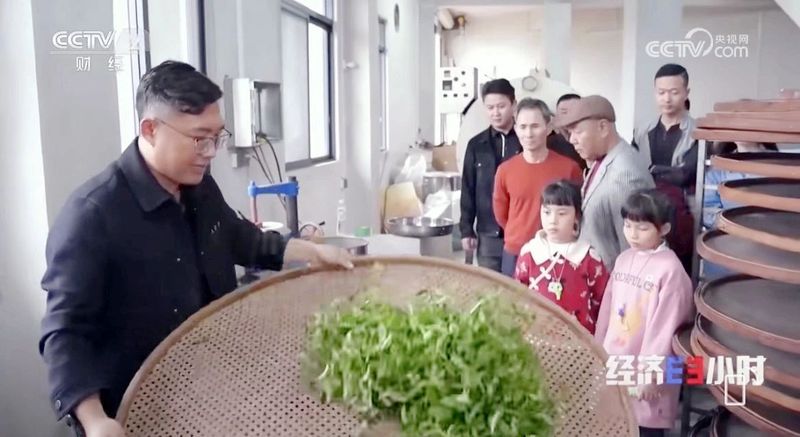 有关于央视聚焦潮州茶产业引发茶界共鸣的新闻(2)