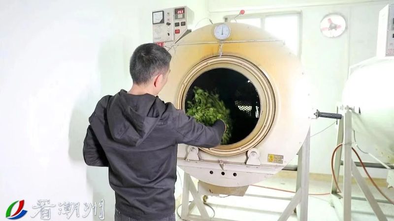 有关于央视聚焦潮州茶产业引发茶界共鸣的新闻(8)