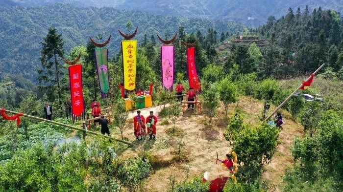 有关于广西龙胜古树茶祭茶节上演“少女飞天采茶”的最新消息(1)