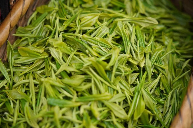 关于安康这杯茶里有什么？答案是……的相关内容(6)