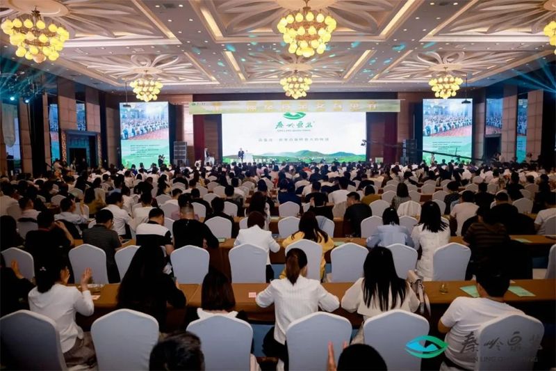 有关于商洛聚力打造茶叶区域公用品牌“秦岭泉茗” 百店千点布局推动品牌提升的新闻