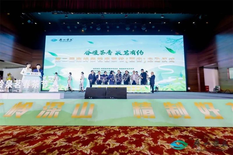 有关于商洛聚力打造茶叶区域公用品牌“秦岭泉茗” 百店千点布局推动品牌提升的新闻(1)