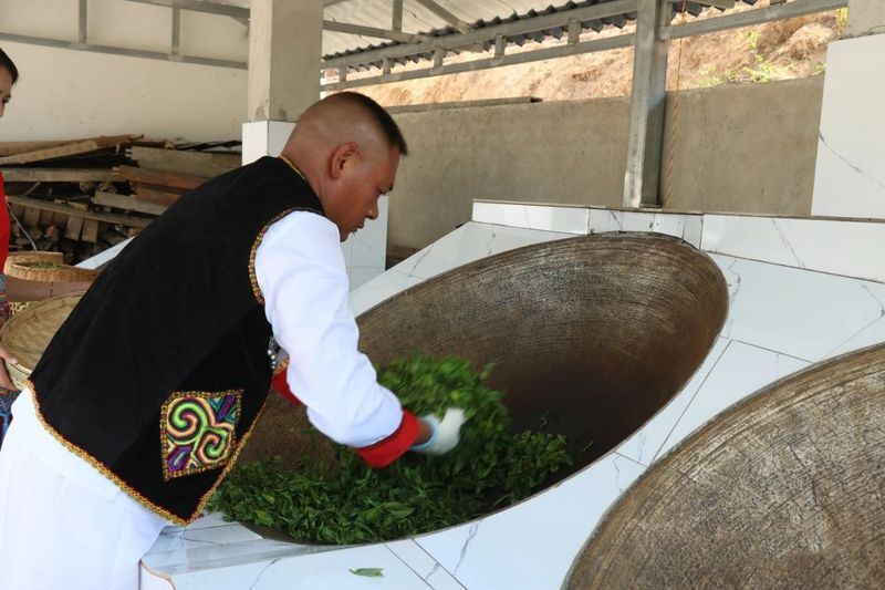 关于龙陵雪山：春来古树茶飘香的最新消息(3)