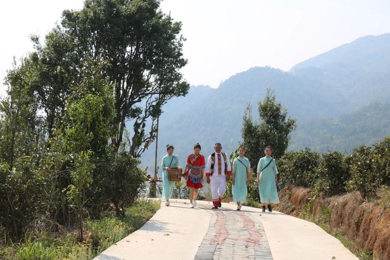 关于龙陵雪山：春来古树茶飘香的最新消息