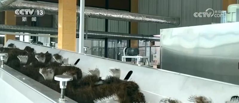 关于“一季春茶，四季增收” 延伸产业链 探索“茶旅融合”新模式的资讯(3)