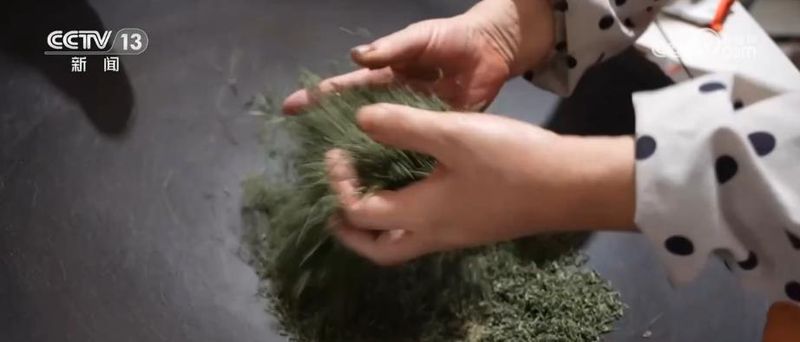 关于“一季春茶，四季增收” 延伸产业链 探索“茶旅融合”新模式的资讯(2)