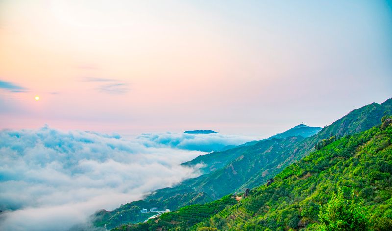 有关于频频亮相央媒！凤凰单丛茶强势“出圈”的信息(1)