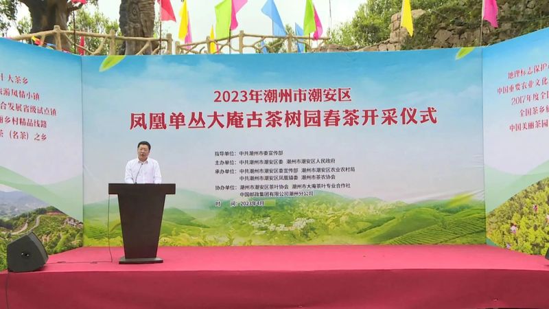 有关于频频亮相央媒！凤凰单丛茶强势“出圈”的信息(6)