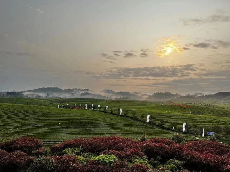 有关于胡继承在湄潭县推进茶产业高质量发展暨创建“中国茶业重点县域”再起航活动上的发言的消息(2)