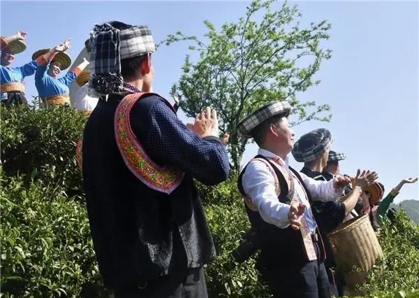 关于隆回虎形山：瑶山茶叶香 文旅推荐忙的相关内容(2)