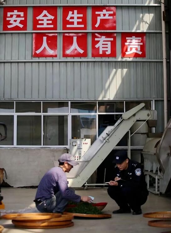 有关于春来采茶忙 茶园有“警”色的资讯(3)