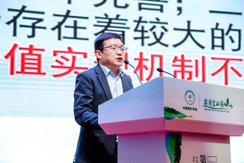 关于第31届中国茶业科技年会 ：绿色发展 种业振兴 茶叶科技分会场Ⅰ的信息(12)