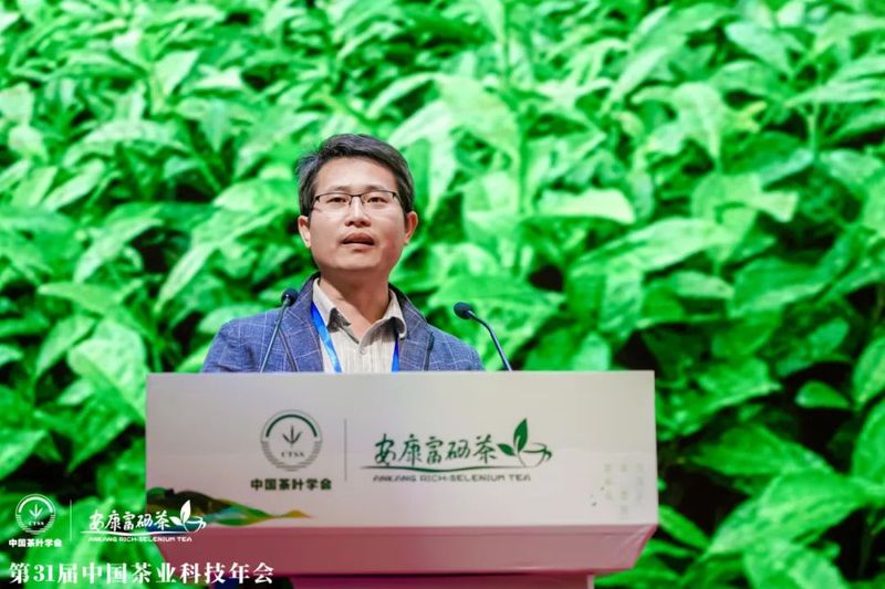 关于第31届中国茶业科技年会 ：绿色发展 种业振兴 茶叶科技分会场Ⅰ的信息(10)