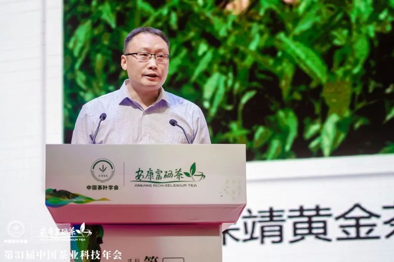 关于第31届中国茶业科技年会 ：绿色发展 种业振兴 茶叶科技分会场Ⅰ的信息(8)