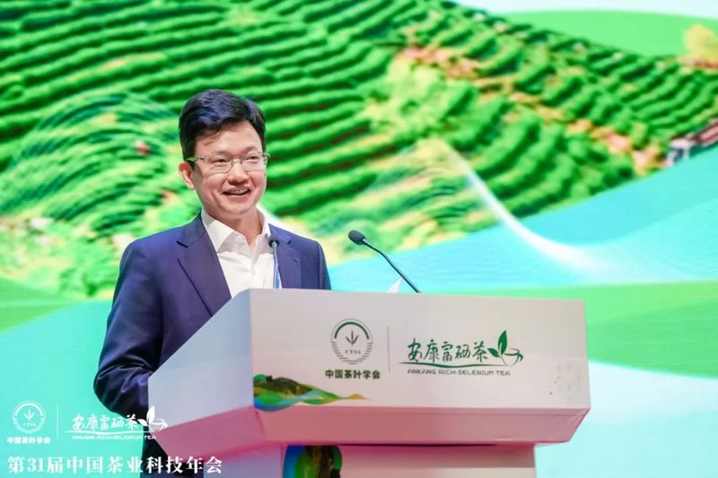 关于第31届中国茶业科技年会 ：绿色发展 种业振兴 茶叶科技分会场Ⅰ的信息(1)