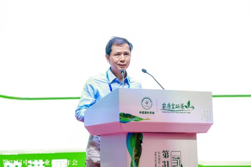 关于第31届中国茶业科技年会 ：绿色发展 种业振兴 茶叶科技分会场Ⅰ的信息(2)