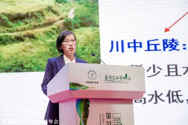 关于第31届中国茶业科技年会 ：绿色发展 种业振兴 茶叶科技分会场Ⅰ的信息(3)