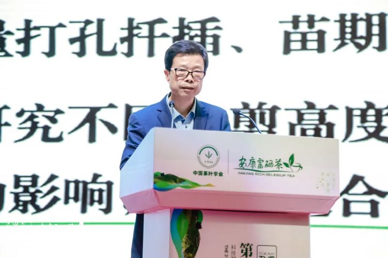 关于第31届中国茶业科技年会 ：绿色发展 种业振兴 茶叶科技分会场Ⅰ的信息(11)