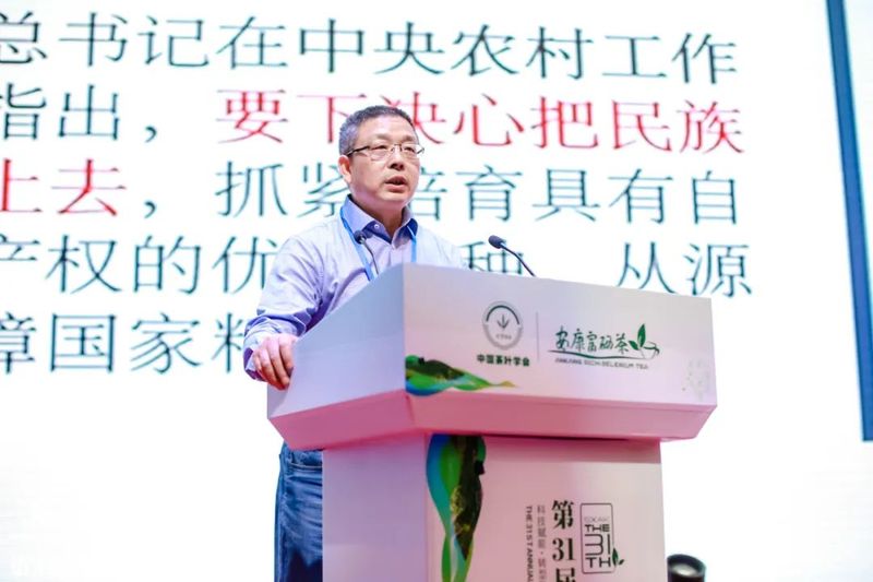 关于第31届中国茶业科技年会 ：绿色发展 种业振兴 茶叶科技分会场Ⅰ的信息(6)