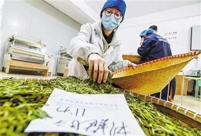 有关于未来智能机器也能炒出好茶叶的内容(1)