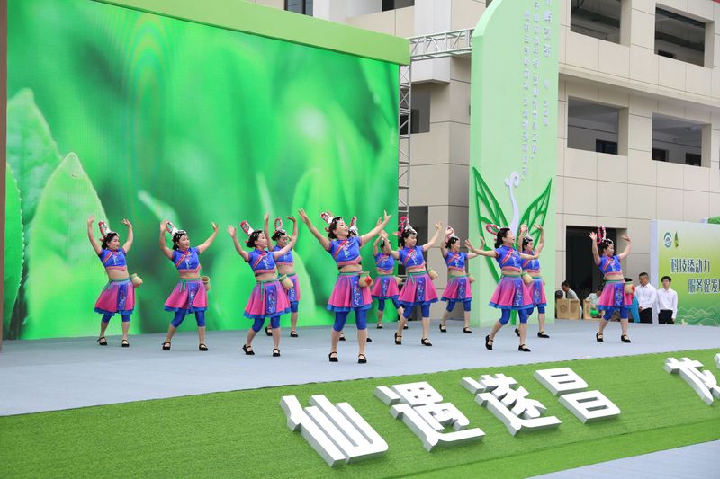 有关于浙江省政协“六送”活动之送茶科技下乡暨遂昌县第二届高山名茶问茶节开幕的资讯(1)