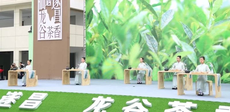 有关于浙江省政协“六送”活动之送茶科技下乡暨遂昌县第二届高山名茶问茶节开幕的资讯(2)