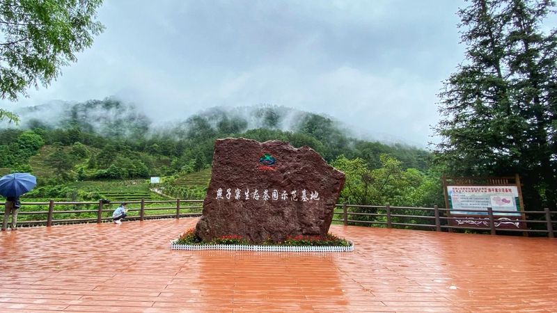 关于不负新芽绿 武夷山最美茶旅路线奉上，约起来！的相关内容(9)