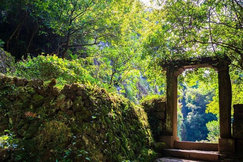 关于不负新芽绿 武夷山最美茶旅路线奉上，约起来！的相关内容(2)