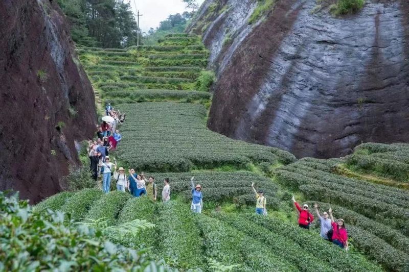 关于不负新芽绿 武夷山最美茶旅路线奉上，约起来！的相关内容(3)