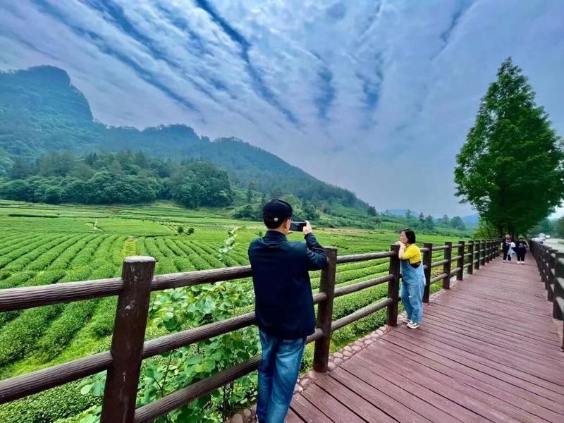 关于不负新芽绿 武夷山最美茶旅路线奉上，约起来！的相关内容(7)