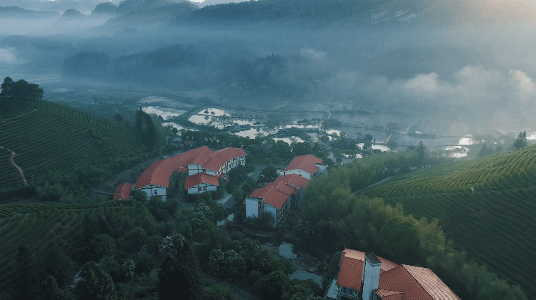 关于不负新芽绿 武夷山最美茶旅路线奉上，约起来！的相关内容(13)