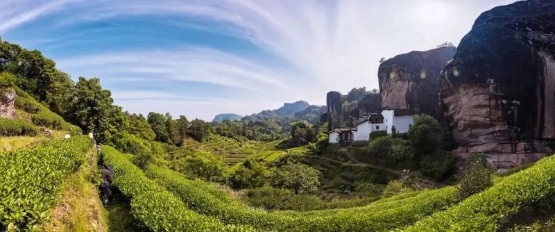 关于不负新芽绿 武夷山最美茶旅路线奉上，约起来！的相关内容(6)