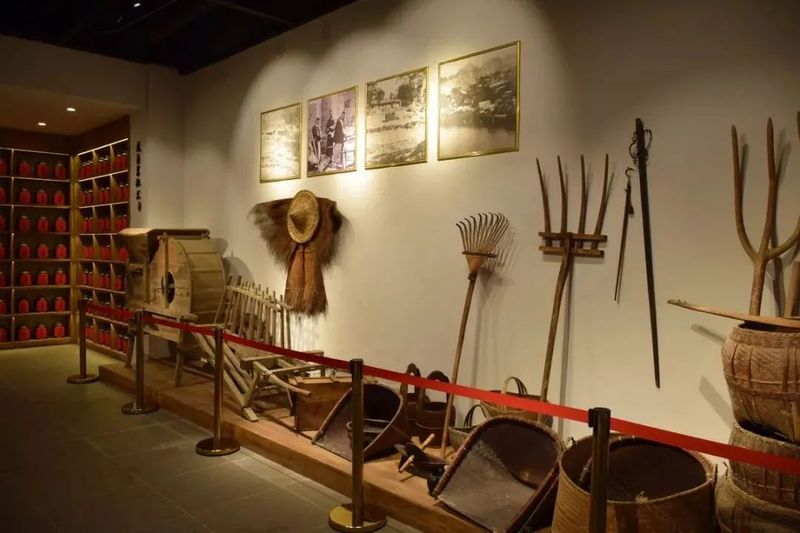 关于不负新芽绿 武夷山最美茶旅路线奉上，约起来！的相关内容(16)