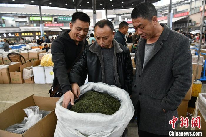 有关于探访四川最大茶产区：茶市供销两旺 茶旅融合走热的资讯(1)