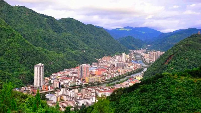 有关于这杯镇巴茶，感恩于心，共富于民的相关信息