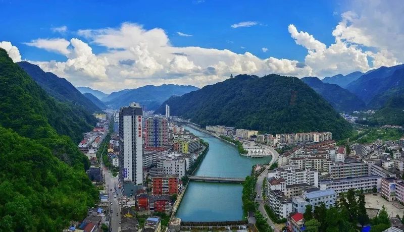 有关于这杯镇巴茶，感恩于心，共富于民的相关信息(14)