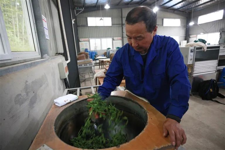 有关于一片匠心塑茶魂的最新消息(7)