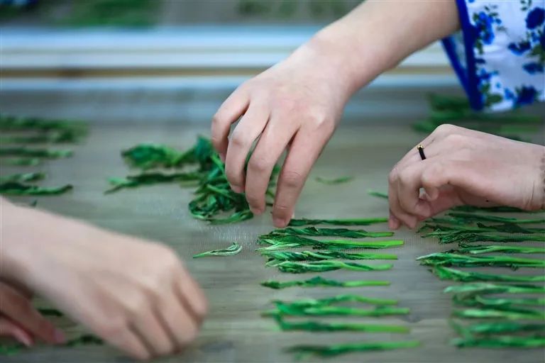 有关于一片匠心塑茶魂的最新消息(8)
