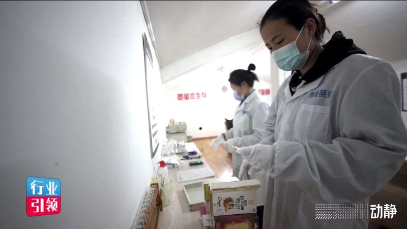 有关于买全省卖全球！栗香茶业实现2800万美元出口额的信息(6)