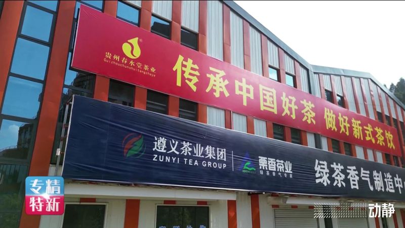 有关于买全省卖全球！栗香茶业实现2800万美元出口额的信息(9)