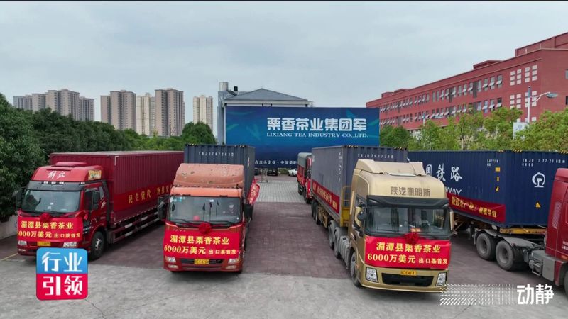 有关于买全省卖全球！栗香茶业实现2800万美元出口额的信息(8)