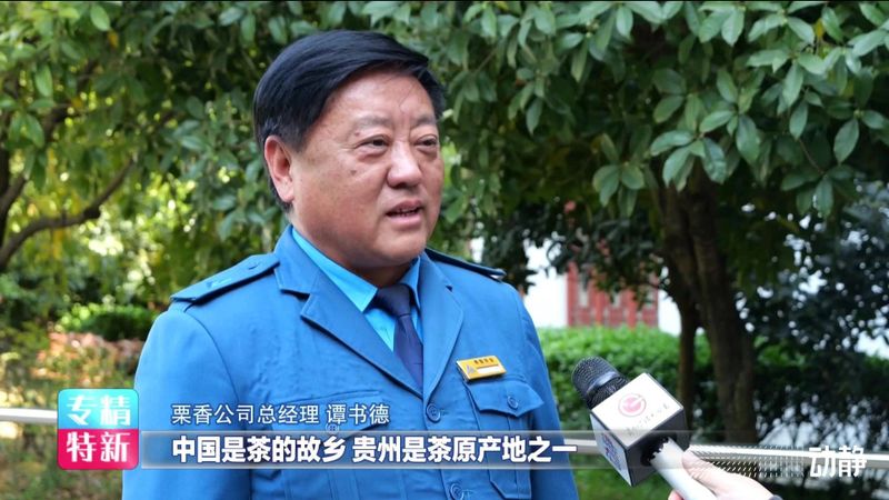 有关于买全省卖全球！栗香茶业实现2800万美元出口额的信息(10)