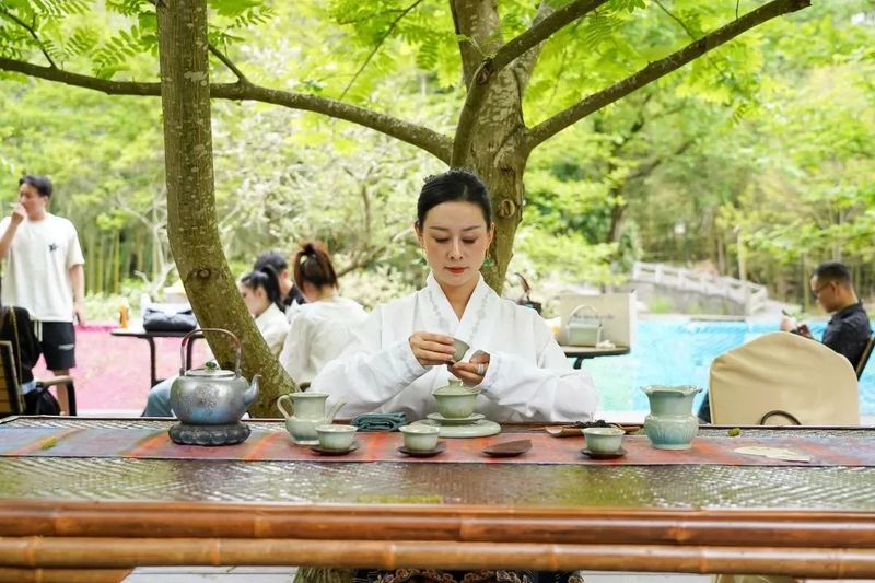 关于 杭州临安第十一届茶俗文化旅游节成功举办的消息(19)