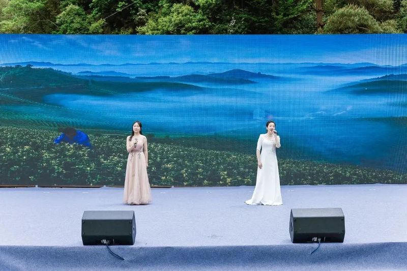 关于 杭州临安第十一届茶俗文化旅游节成功举办的消息(13)