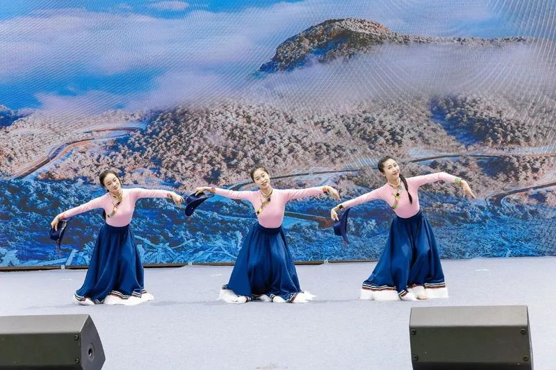 关于 杭州临安第十一届茶俗文化旅游节成功举办的消息(14)